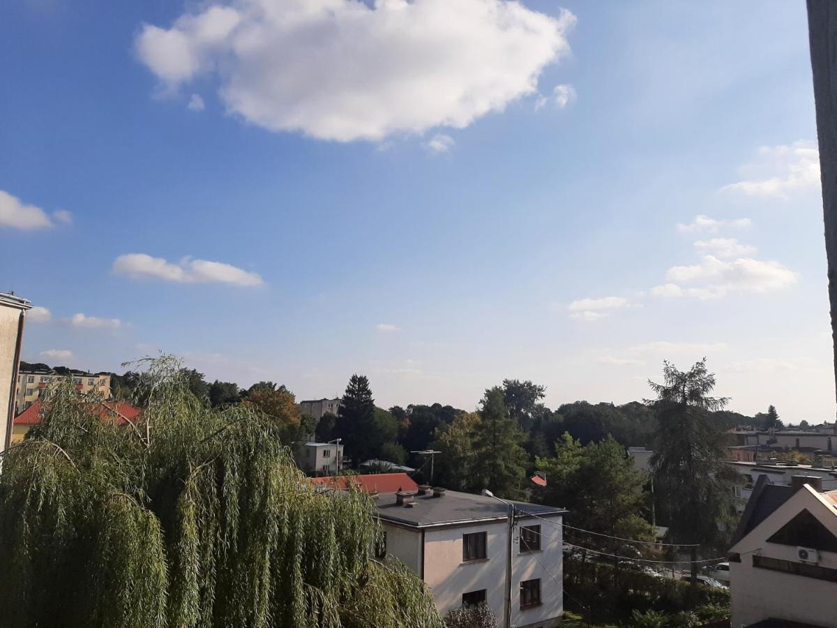 Apartment Next To Old Town