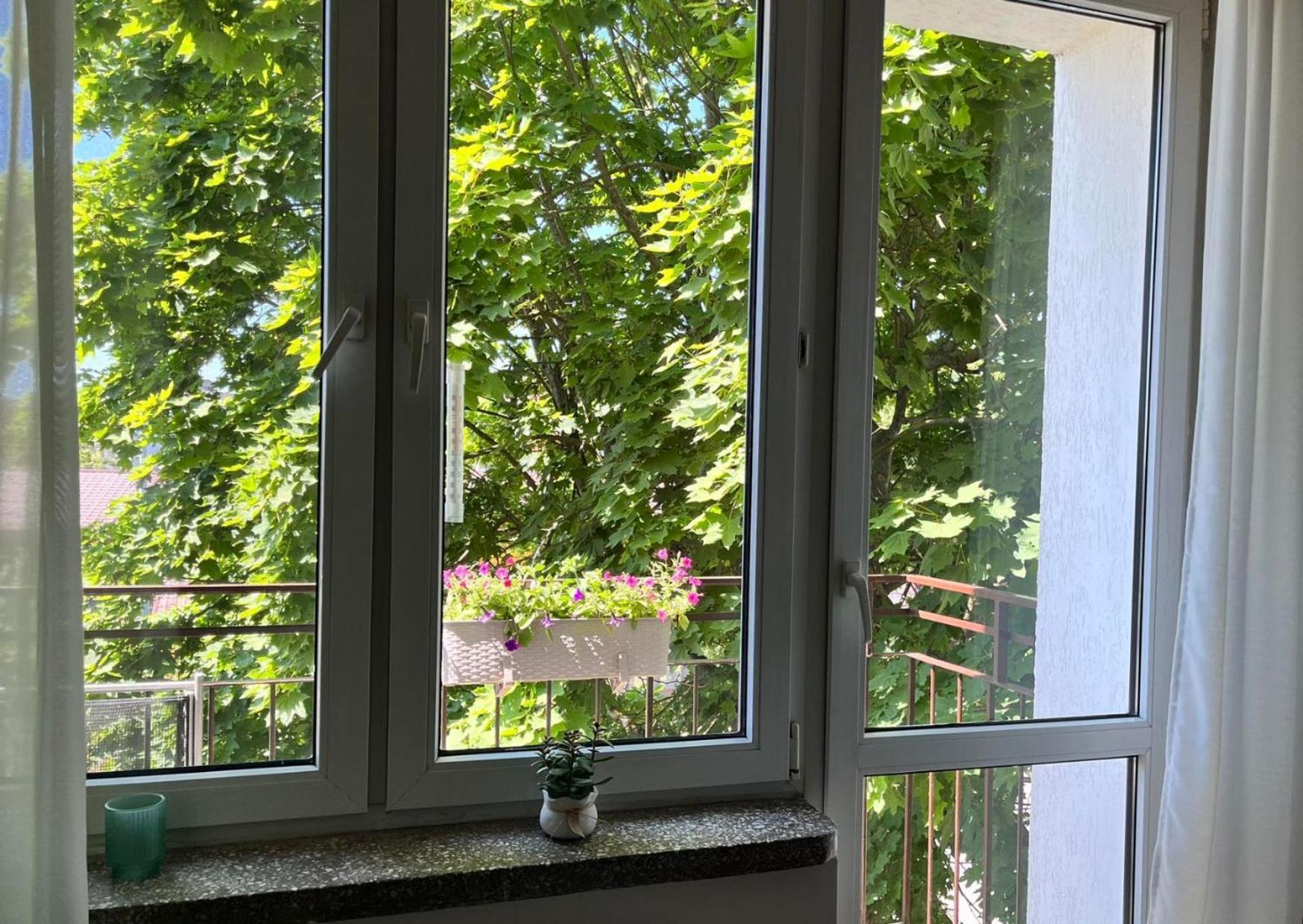 Apartment Next To Old Town *